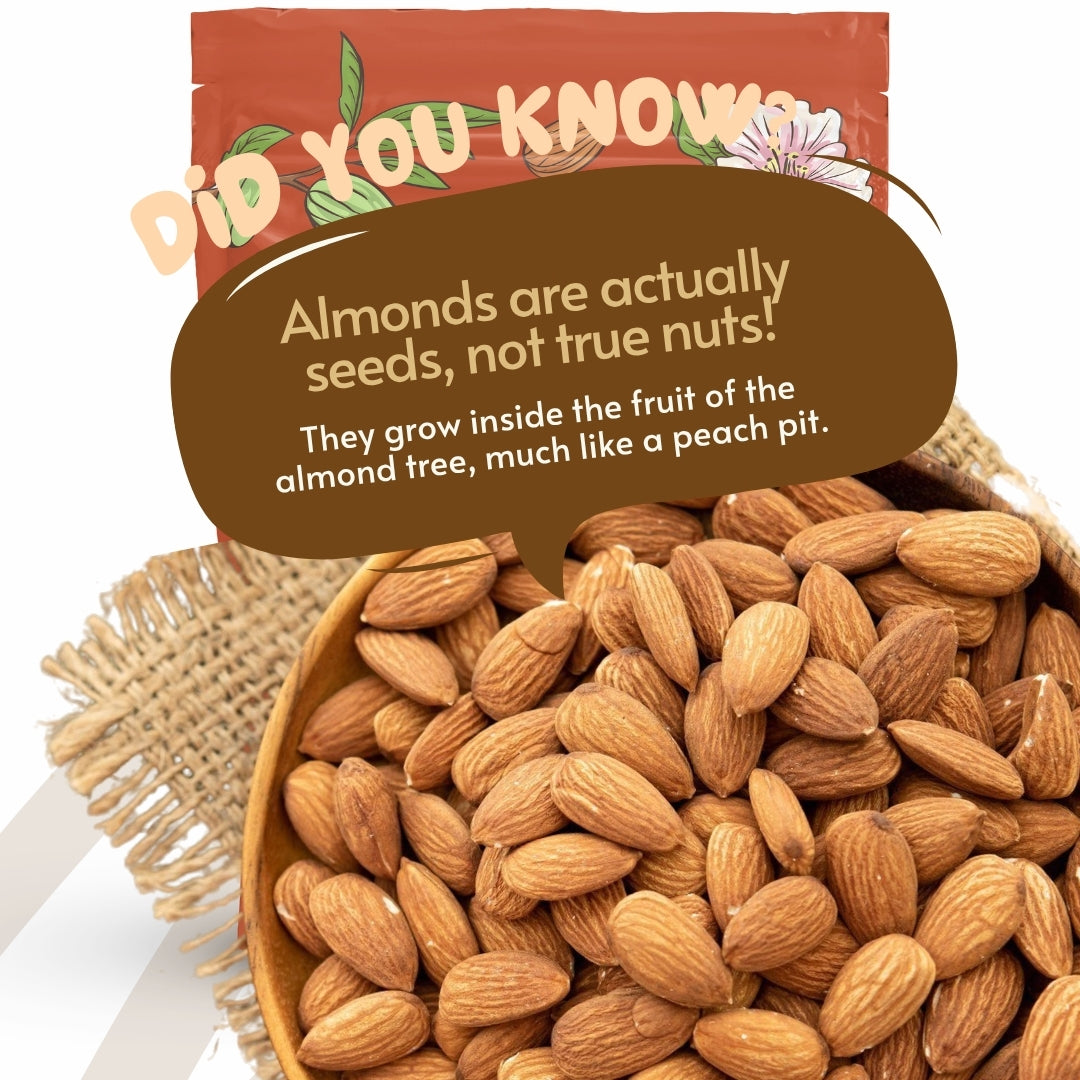 Rich India California Almonds - 250g